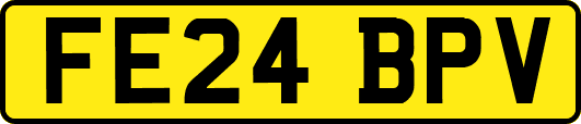 FE24BPV