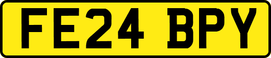 FE24BPY