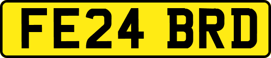 FE24BRD