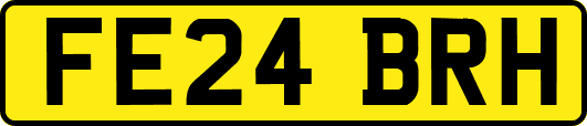 FE24BRH