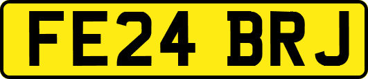 FE24BRJ