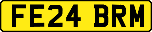 FE24BRM
