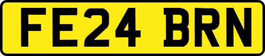 FE24BRN