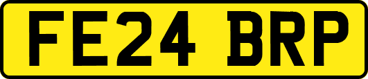 FE24BRP