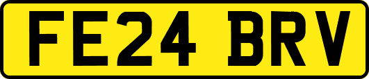 FE24BRV