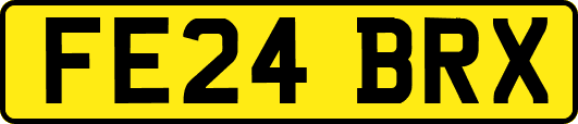 FE24BRX