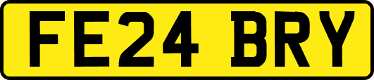 FE24BRY