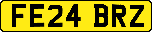 FE24BRZ