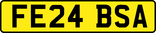 FE24BSA