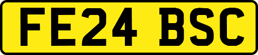 FE24BSC