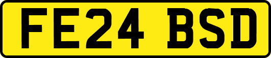 FE24BSD