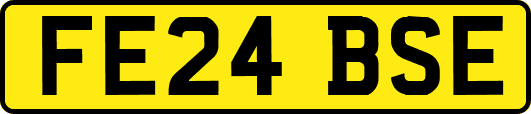 FE24BSE
