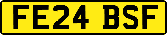 FE24BSF