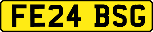 FE24BSG