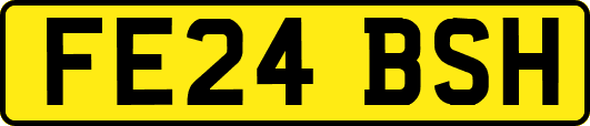 FE24BSH