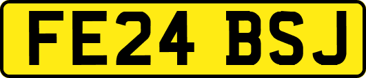 FE24BSJ