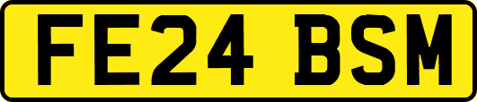 FE24BSM