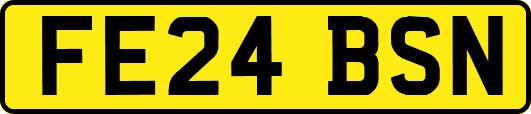 FE24BSN