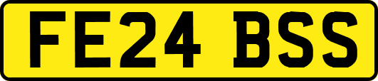 FE24BSS