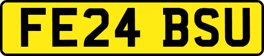 FE24BSU