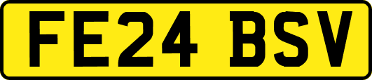 FE24BSV