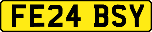 FE24BSY