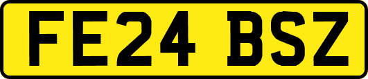 FE24BSZ