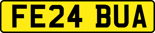 FE24BUA