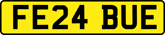 FE24BUE