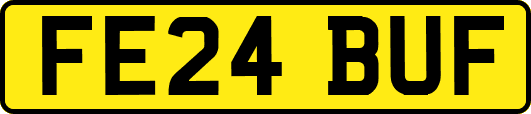 FE24BUF