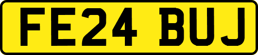FE24BUJ