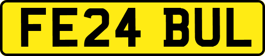 FE24BUL