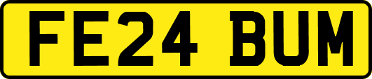 FE24BUM