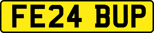 FE24BUP
