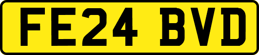 FE24BVD