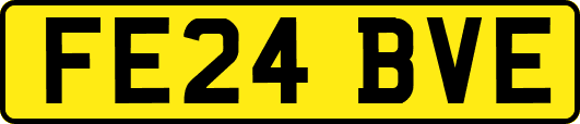 FE24BVE