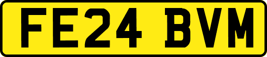 FE24BVM