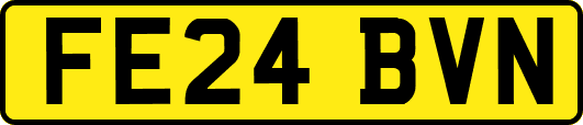 FE24BVN