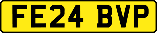 FE24BVP