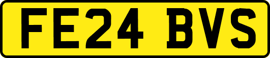 FE24BVS
