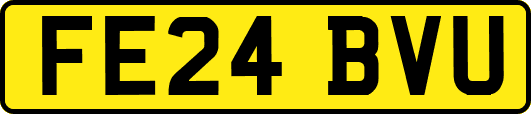 FE24BVU
