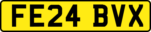 FE24BVX