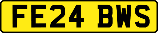 FE24BWS