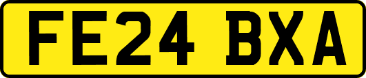 FE24BXA