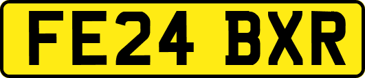 FE24BXR