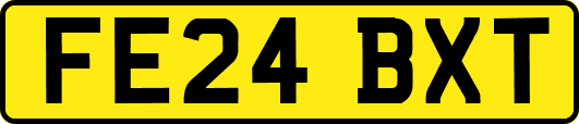 FE24BXT