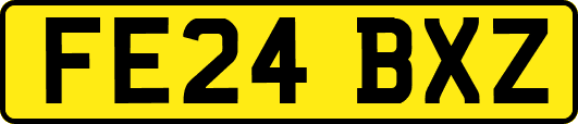 FE24BXZ