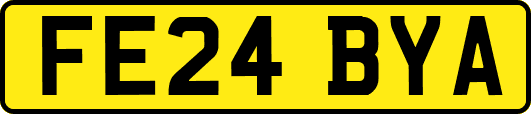 FE24BYA