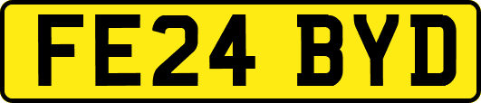 FE24BYD