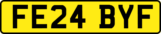 FE24BYF